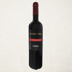 Crianza Romanorum