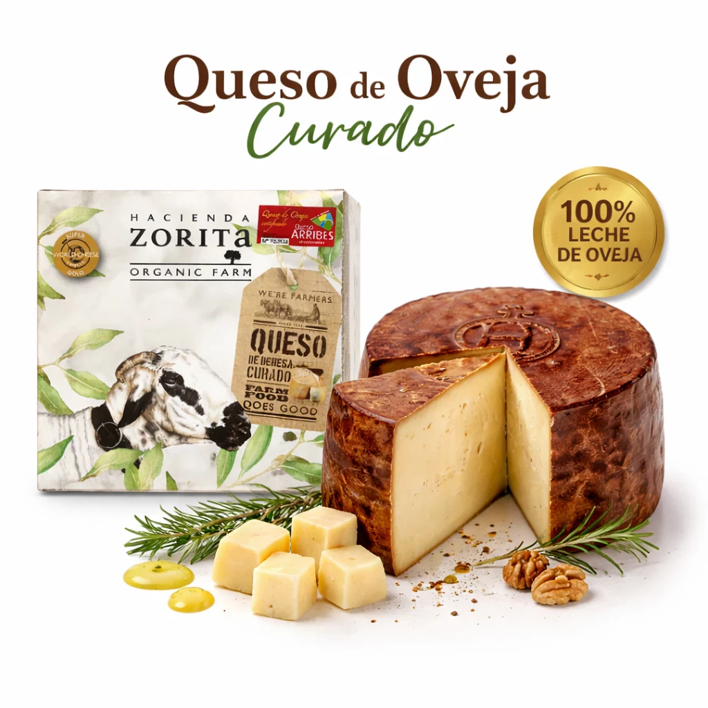 Textura y corte del queso de oveja Zorita tradicional.